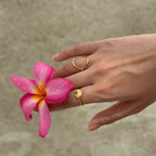 Ray Ring