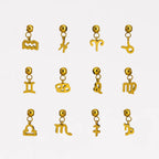 Zodiac Sign Charm